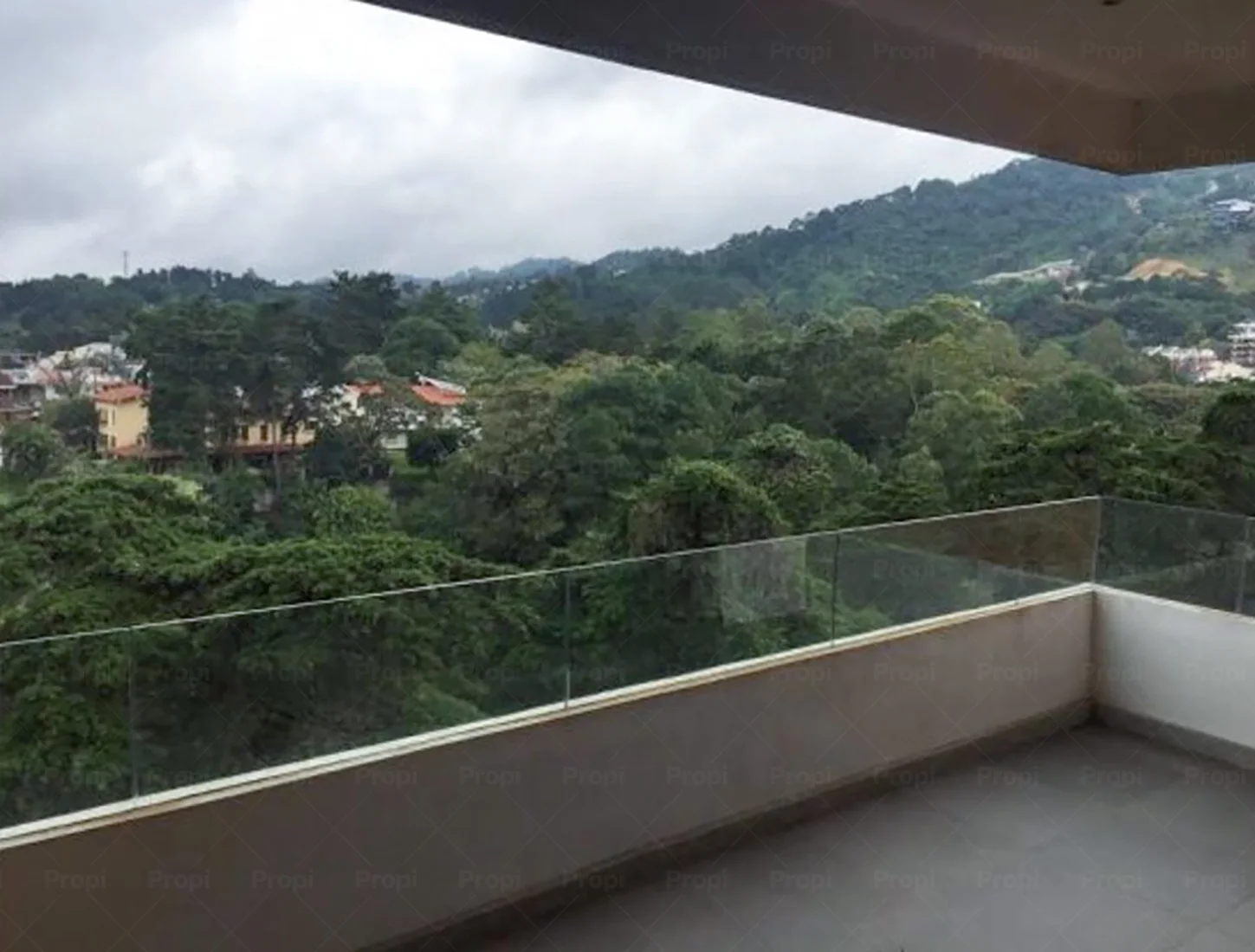 Fotografía de Verdino en Zona 15, Guatemala